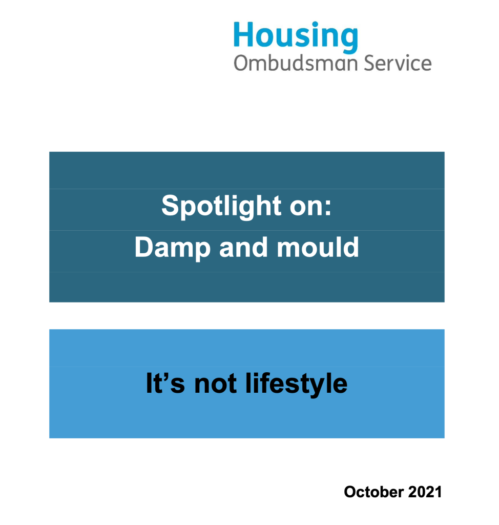 Damp & Mould - Building Defect Analysis